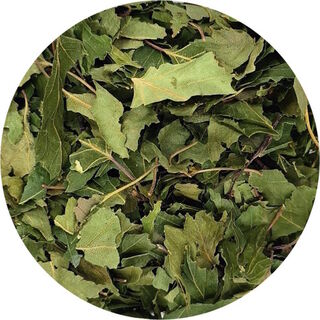 Birch Leaf - Arthritis Aid