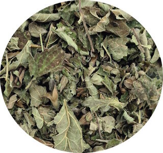Lemon Balm - Cramps, Fever & Sleep Aid