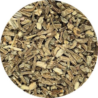 Echinacea Root