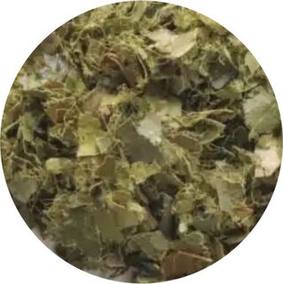 Gravolia (Soursop) Leaves Cut